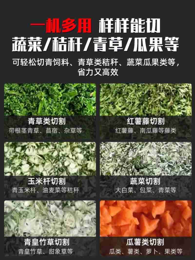 北京动物园对柏树进行喷水作业。市园林绿化局供图